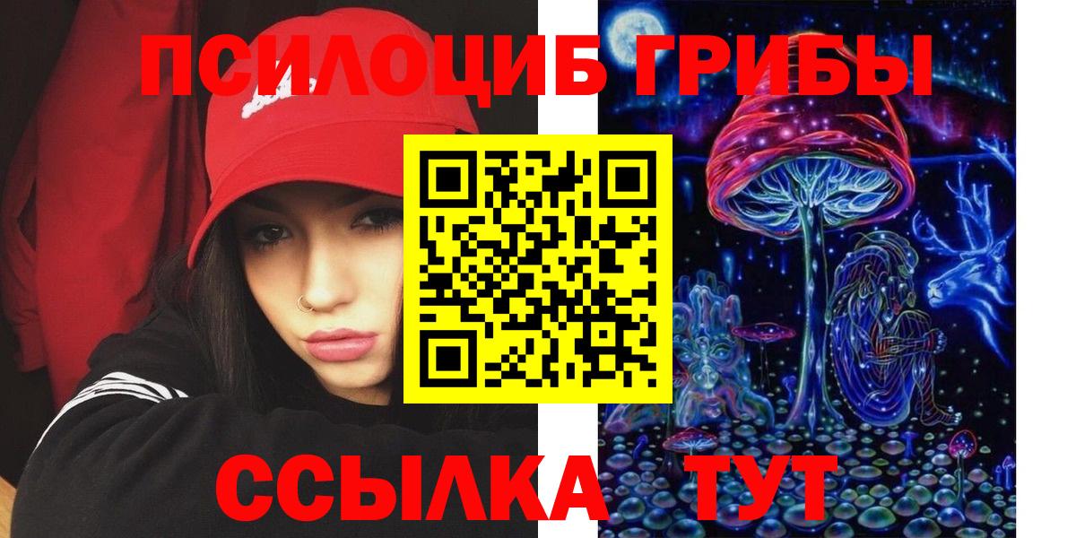 Псилоцибиновые грибы Cubensis Серов