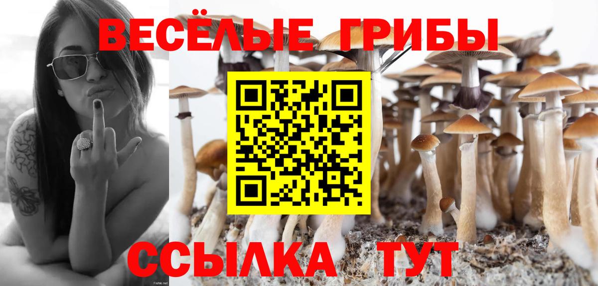 Псилоцибиновые грибы мухоморы  Вход с VPN  Серов 